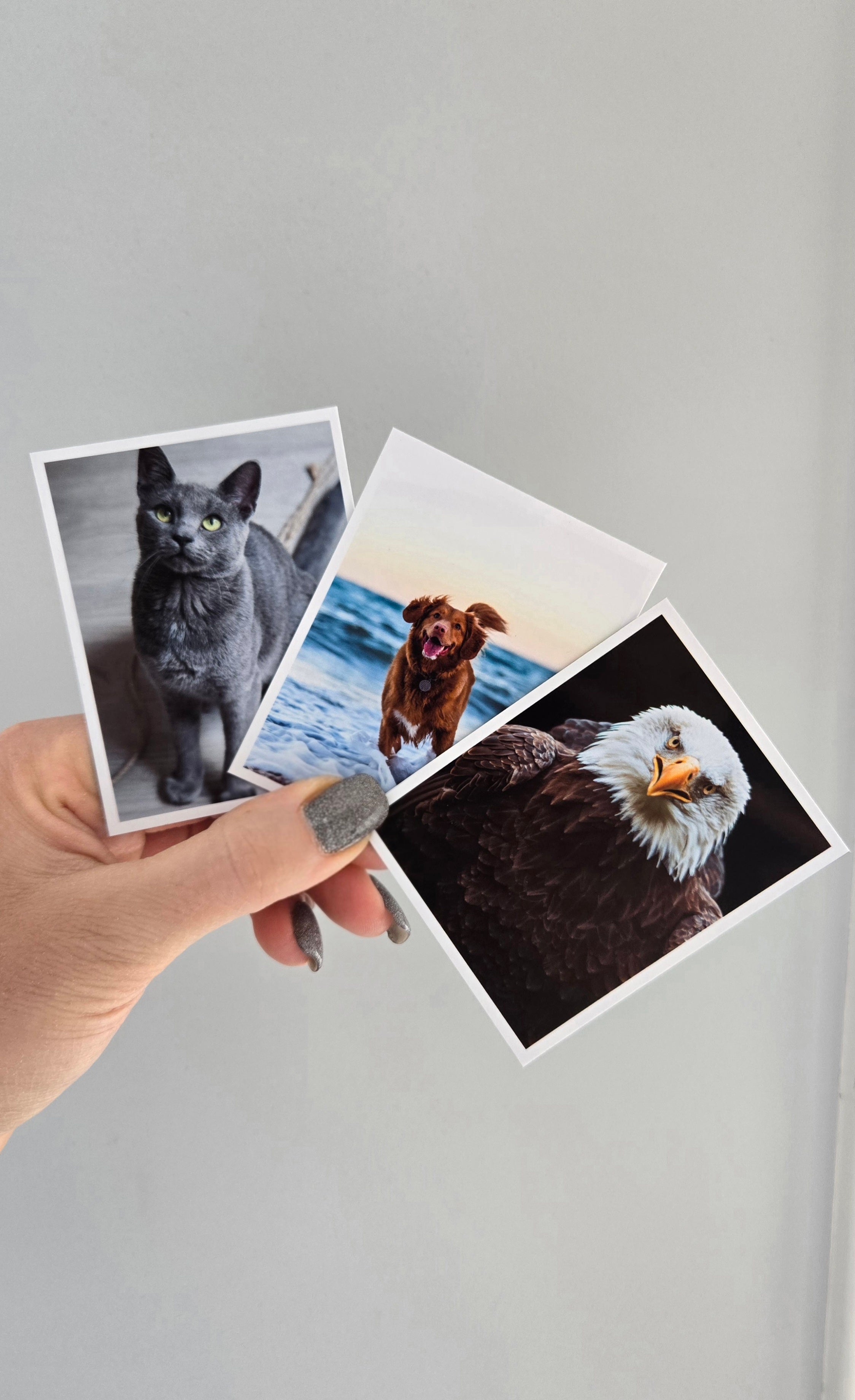 Flexible Photo Magnets