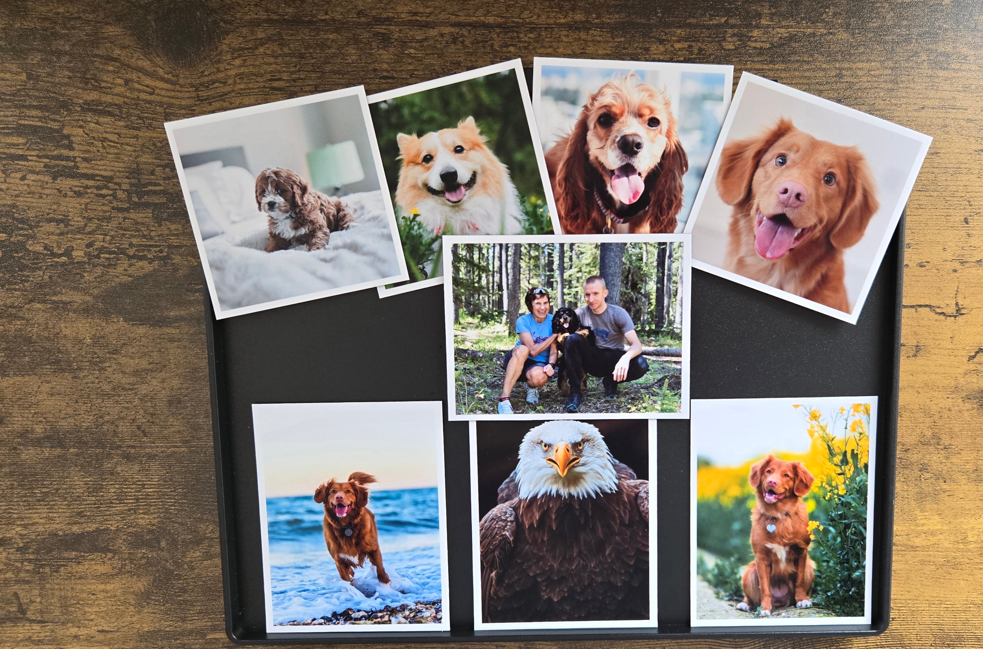 Flexible Photo Magnets