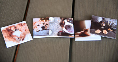 50x50 mm - 6 Magnets